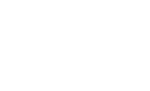 Din erfarne Microsoft Dynamics NAV partner